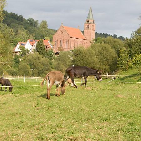 Ferienwohnung Spreter Zimmern ob Rottweil Eksteriør bilde